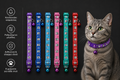 🐾 PawIsland Color Bell Collar – Χρωματιστό Περιλαίμιο για Γάτες