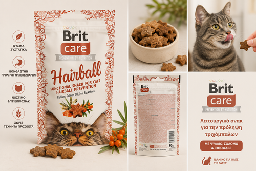 Brit Care Hairball Functional Snack για Γάτες 50g – Πρόληψη Τριχόμπαλων