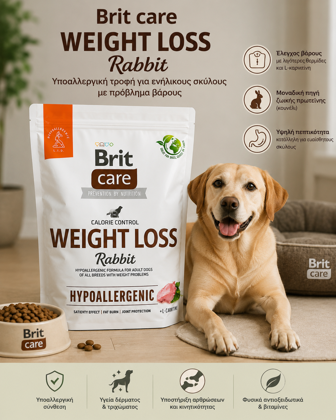 Brit Care Κουνέλι 1kg - Τροφή Σκύλου για Απώλεια Βάρους