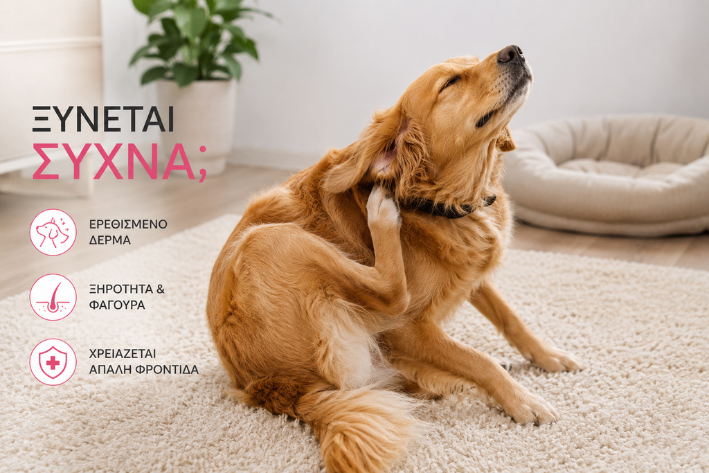 Activet AllergyActiv Shampoo 250ml για Σκύλους & Γάτες 🐾