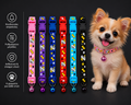 🐾 PawIsland Color Bell Collar – Περιλαίμιο για Μικρόσωμους Σκύλους